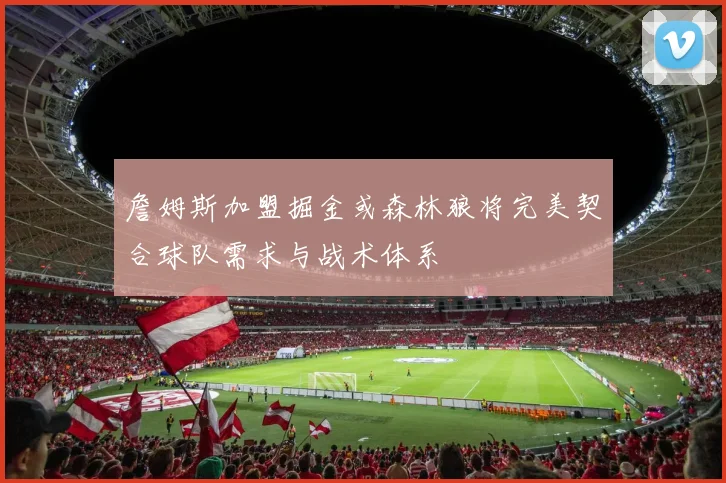 詹姆斯加盟掘金或森林狼将完美契合球队需求与战术体系